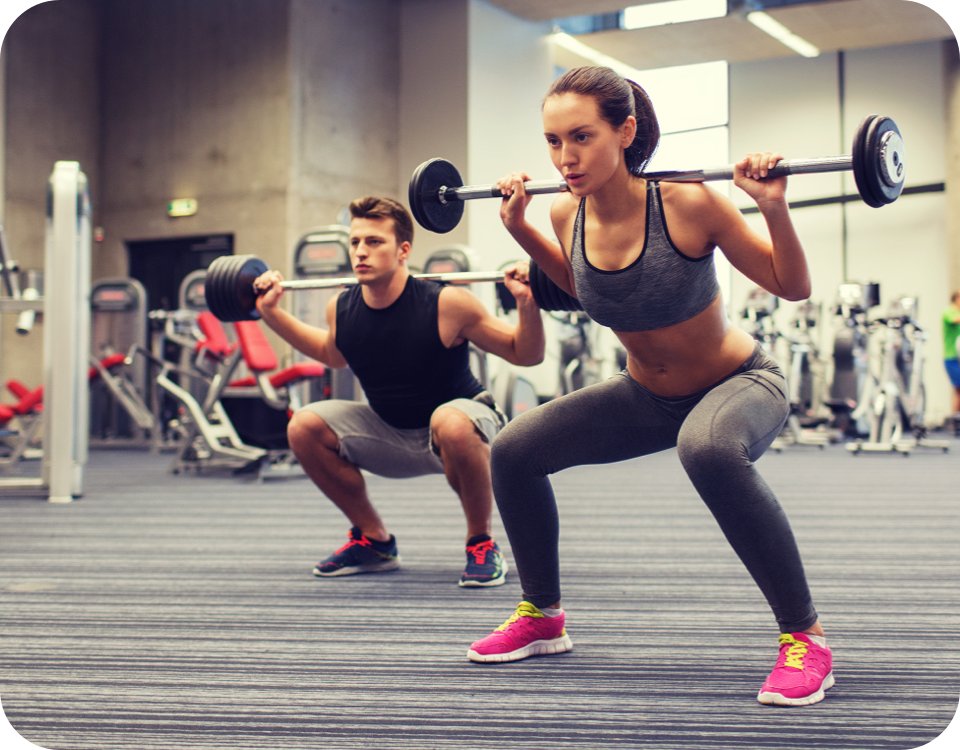 Gyms and Fitness Training Facilities